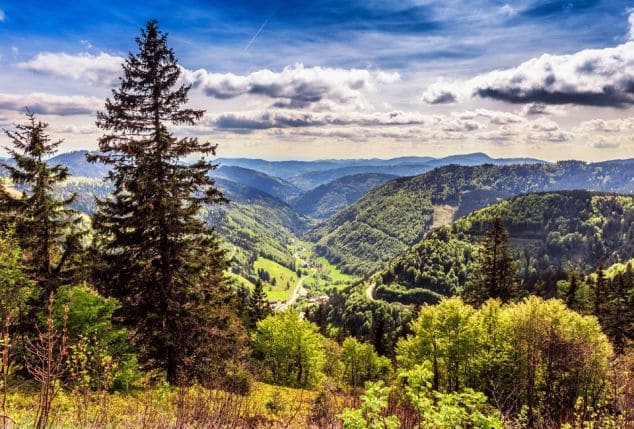 La forêt noire sous un angle nouveau avec un jeu d'orientation GPS