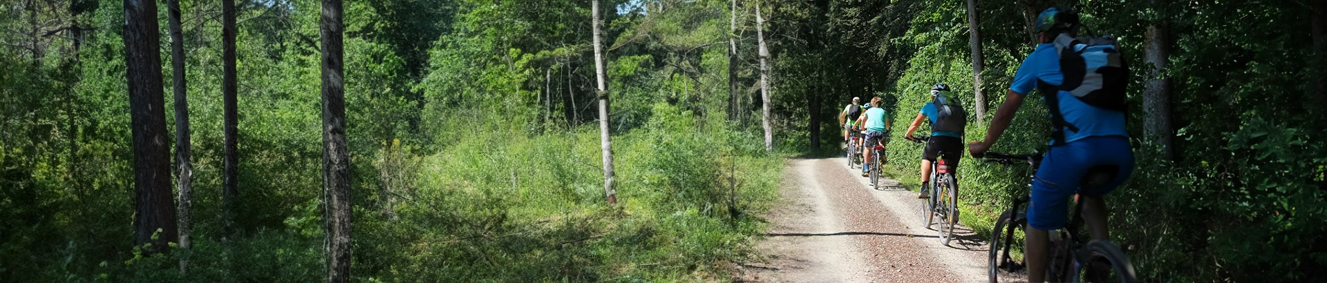 Activité de team building Rallye e-vélo pour une activité liant aventure et cohésion