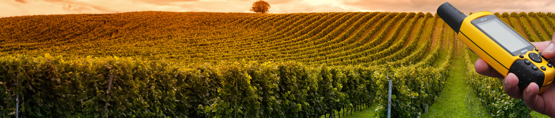 Visitez les plus beaux vignobles de France avec une activité de découverte par l'orientation