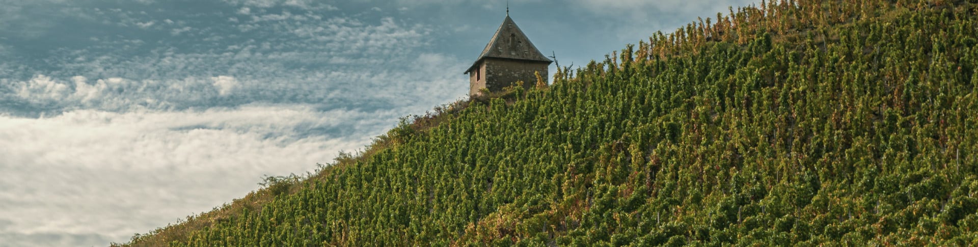 la vallée du Rhône, une région fédératrice et unique