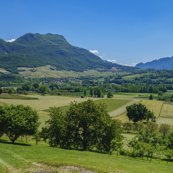 séminaire à la nature dans la vallée du Rhône