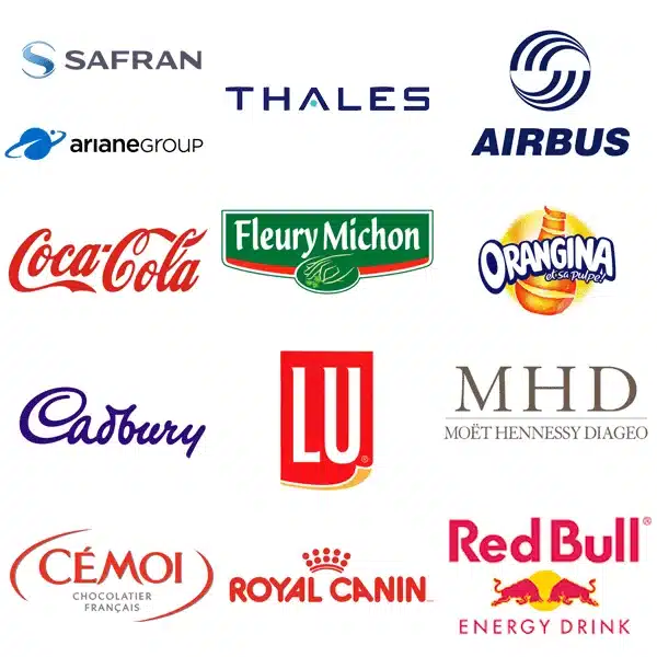 Coca-Cola, Airbus et Red Bull ont fait appel à nos services.