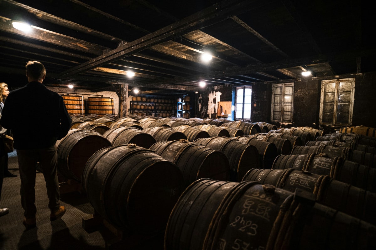 Activité de groupe à Cognac