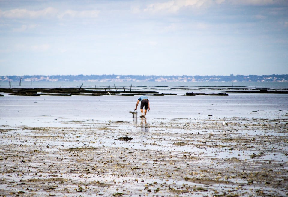 Fédérez vos équipes en Vendée