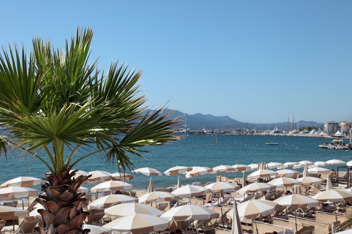 événement de cohésion à Cannes