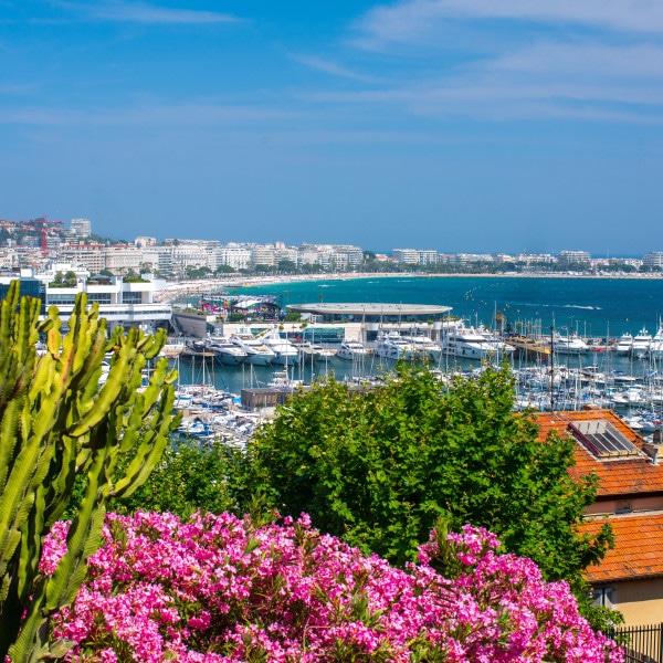 team building ensoleillé et fédérateur à Cannes