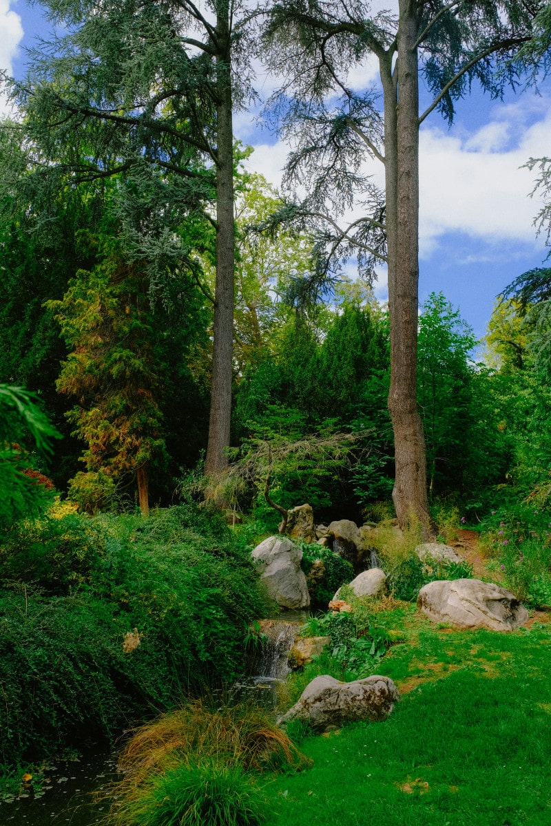 Team building nature Boulogne Billancourt