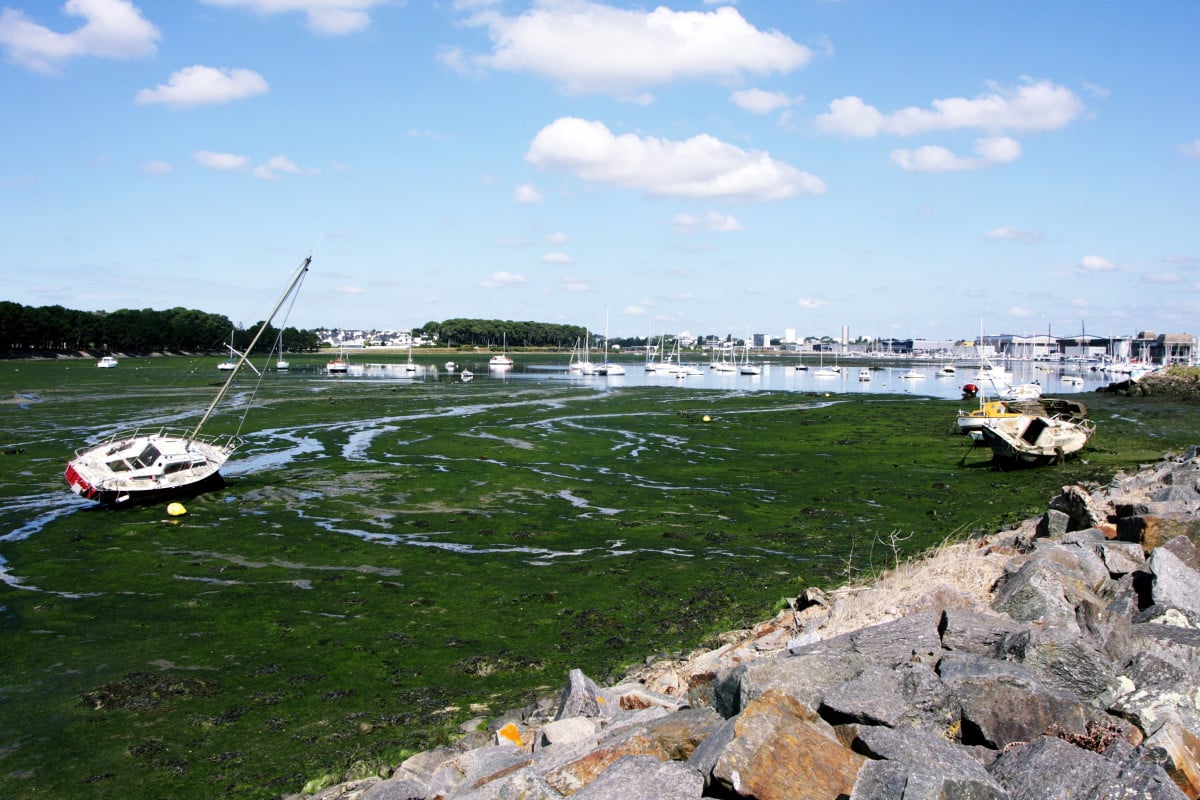 destination Lorient pour votre team building