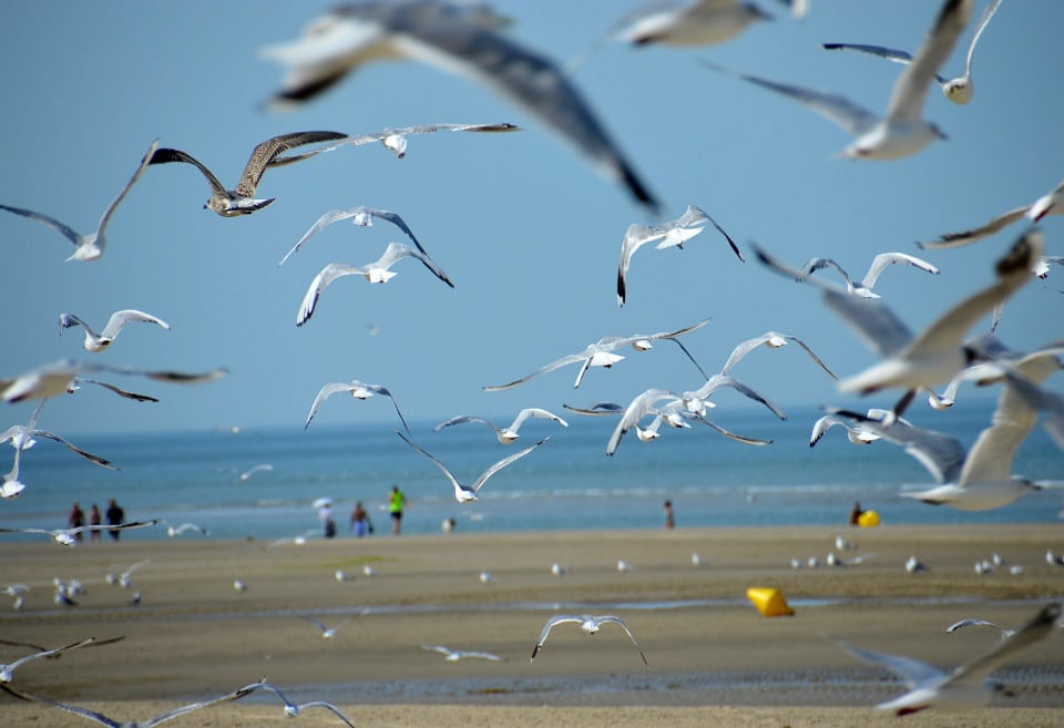 Plage Le touquet