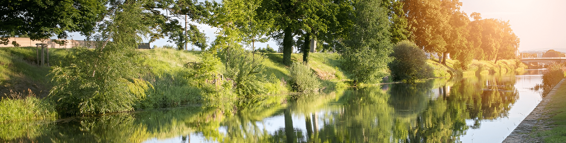 Team building Roanne banner