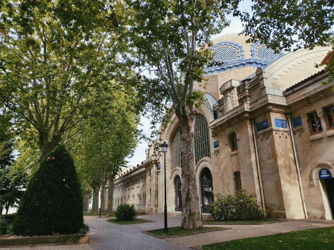 activité de cohésion à vichy